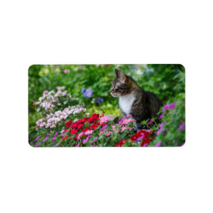 Etiqueta Gato en el jardín