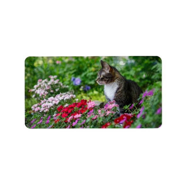 Etiqueta Gato en el jardín (Frente)