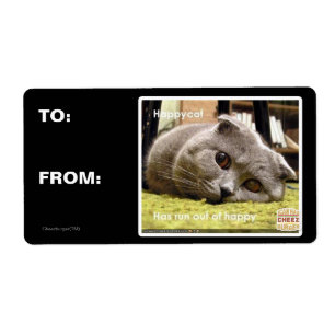 Etiqueta Gato feliz, descontento