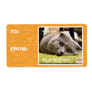 Etiqueta Gato feliz, descontento