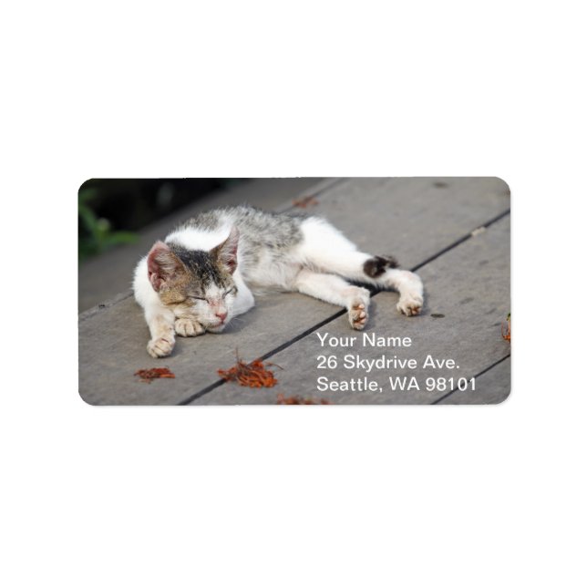 Etiqueta Gato feliz durmiendo (Frente)