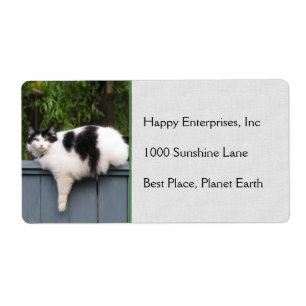 Etiqueta Gato gordo en la cerca