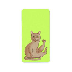 Etiqueta Gato gracioso