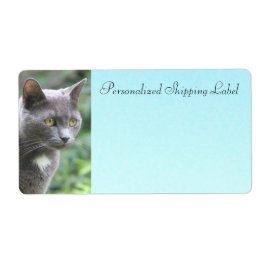 Etiqueta Gato Kitty En Gris