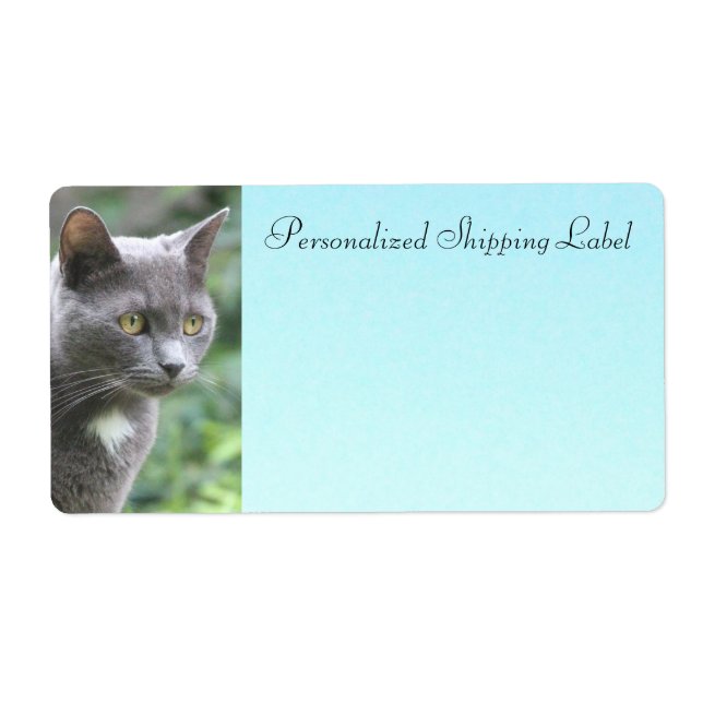 Etiqueta Gato Kitty En Gris (Frente)