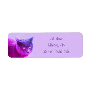 Etiqueta Gato morado gatito
