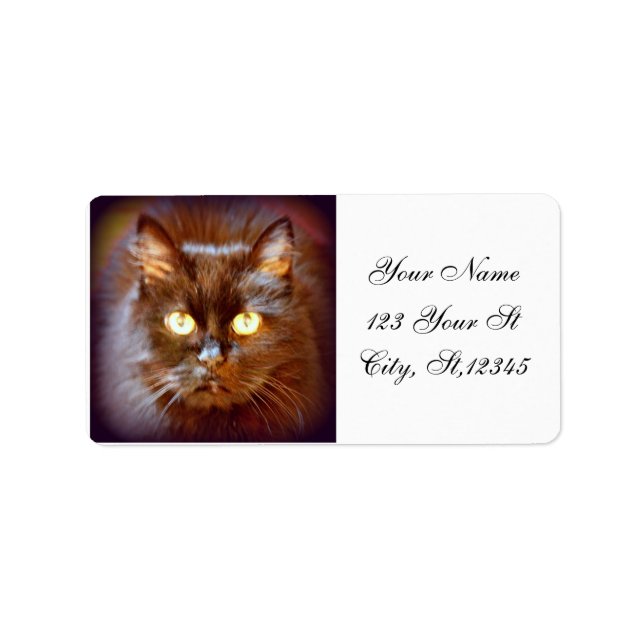 Etiqueta gato negro (Frente)