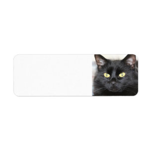 Etiqueta Gato negro