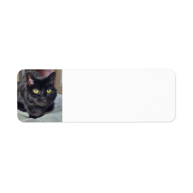 Etiqueta Gato negro (Frente)