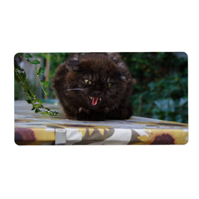 Etiqueta Gato negro enojado (Frente)