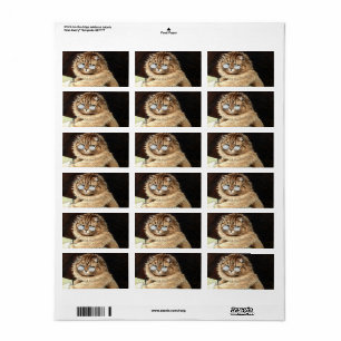 Etiqueta Gato trabajando con gafas de Louis Wain