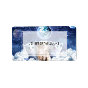 Etiqueta Gatos en la nube