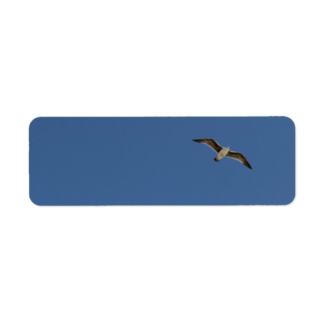 Etiqueta Gaviota en vuelo (Frente)