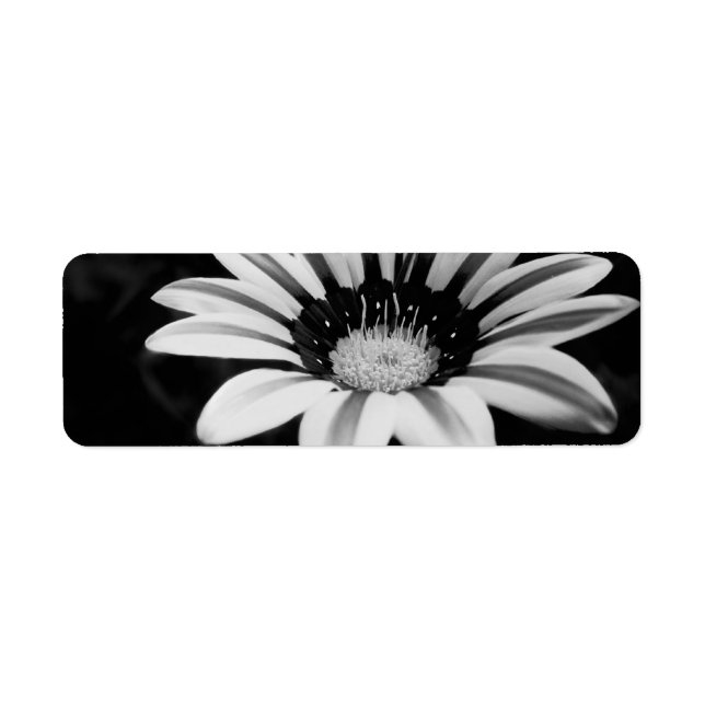 ETIQUETA GAZANIA (Frente)