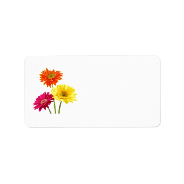 Etiqueta Gerbera Daisy Delight (Frente)
