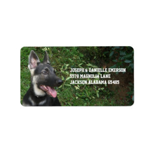 Etiqueta German Shepherd Puppy Address Labels