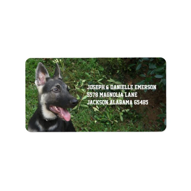 Etiqueta German Shepherd Puppy Address Labels (Frente)