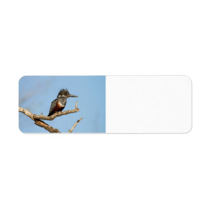 Etiqueta Giant Kingfisher