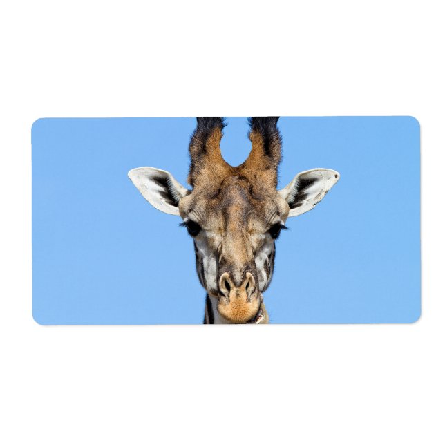 Etiqueta Giraffe (Frente)