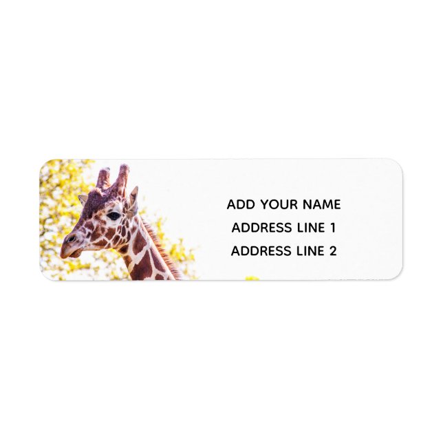 Etiqueta Giraffe Portrait (Frente)