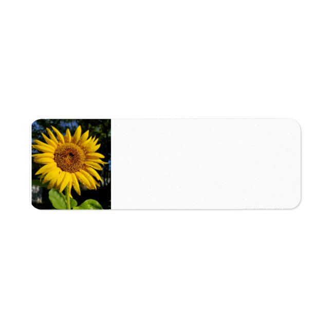 Etiqueta Girasol (Frente)