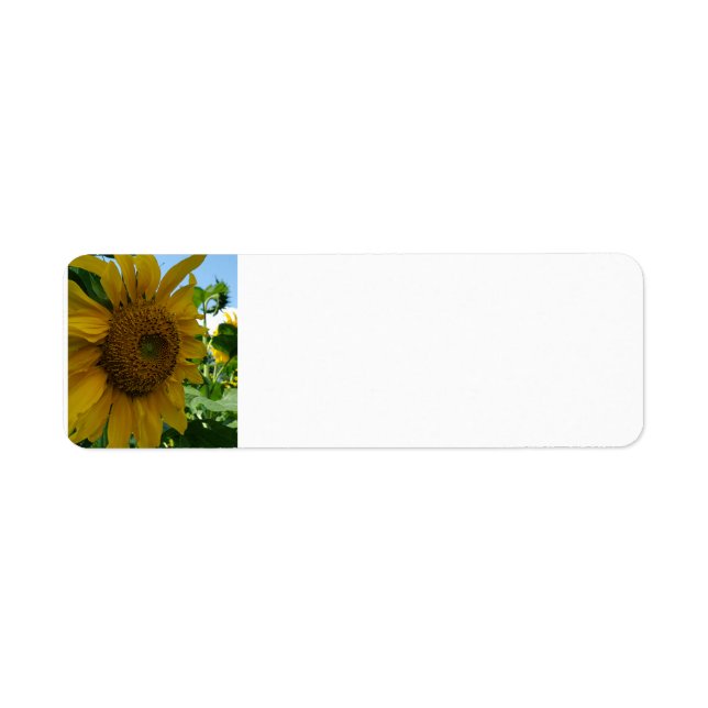 Etiqueta Girasol (Frente)