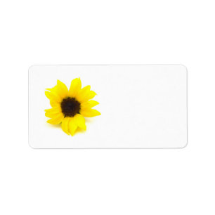 Etiqueta Girasol amarillo