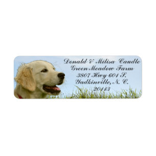 ETIQUETA GOLDEN RETRIEVER