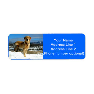 Etiqueta Golden retriever