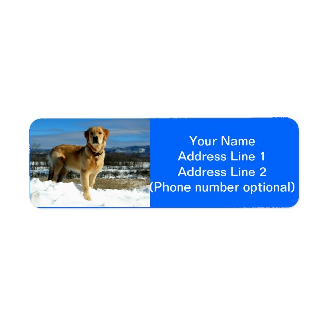 Etiqueta Golden Retriever (Frente)