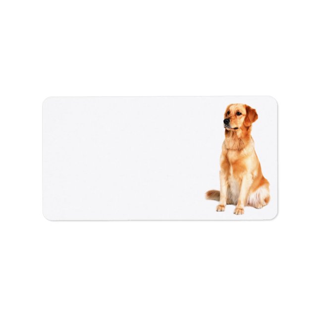 Etiqueta Golden Retriever Address Label (Frente)