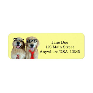 Etiqueta Golden Retriever con lentes nerviosos