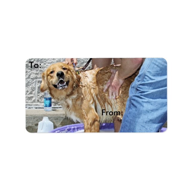 Etiqueta Golden Retriever - ¡Ese lugar! (Frente)