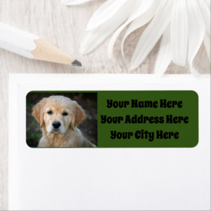 Etiqueta Golden Retriever Puppy