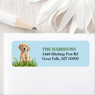 Etiqueta Golden Retriever Puppy Daffodil Garden