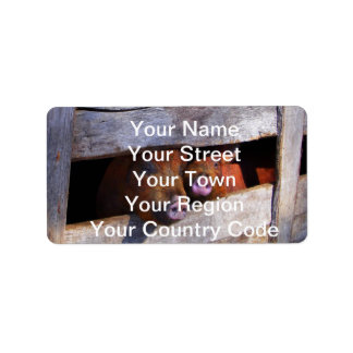 Etiqueta Gomas de búsqueda de punzonado de la pareja de la