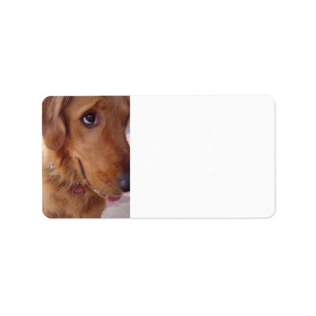 Etiqueta Goofy Golden