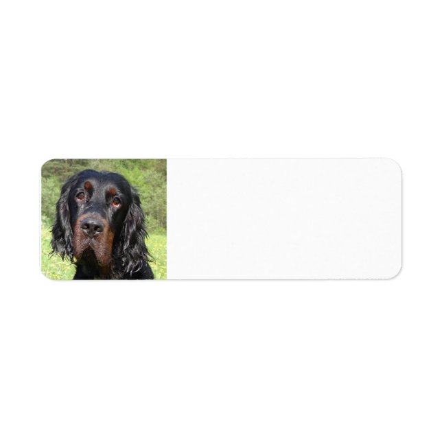 Etiqueta gordon setter.png (Frente)