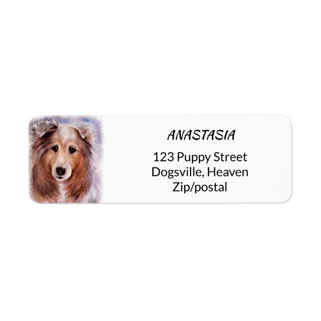 ETIQUETA GORGEOUS COLLIE (Frente)