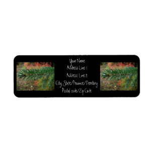 Etiqueta Gotitas de agua en rama Spruce