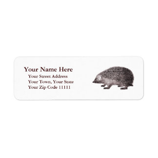 Etiqueta Grabado antiguo Adorable Hedgehog