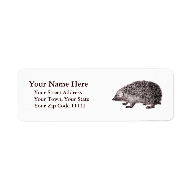 Etiqueta Grabado antiguo Adorable Hedgehog (Frente)