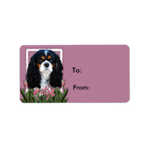 Etiqueta Gracias - Tulipanes rosados - Cavalier - Tri-Color