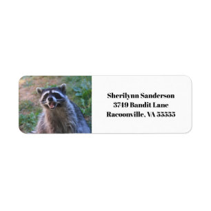 Etiqueta Graciosa fotografía de Raccoon