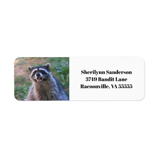 Etiqueta Graciosa fotografía de Raccoon (Frente)