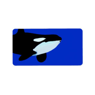 Etiqueta gráfico subacuático de la orca de la orca