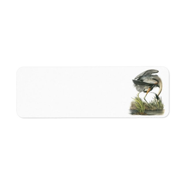 Etiqueta Gran garza azul de Audubon (Frente)