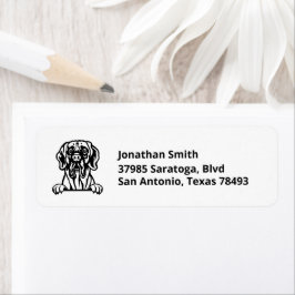 Etiqueta GRAN imagen de DANE en la dirección de retorno