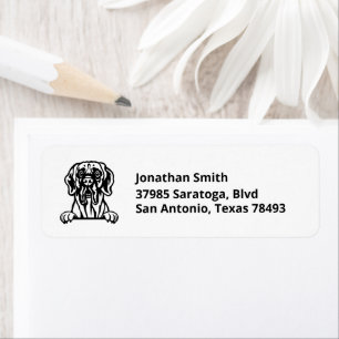 Etiqueta GRAN imagen de DANE en la dirección de retorno