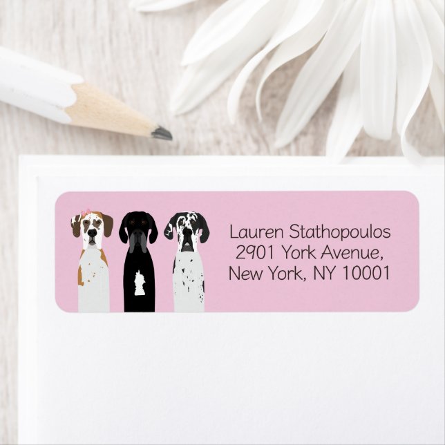 Etiqueta Grandes perros daneses (In situ)